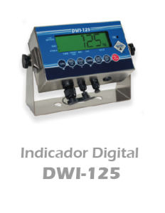 DWI-125
