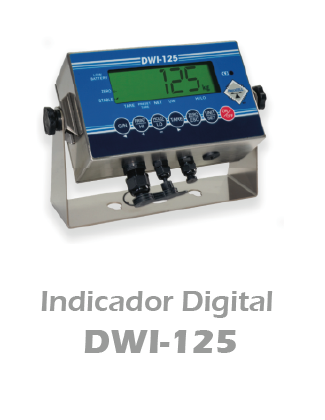DWI-125